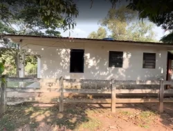 FAZENDA EM MATA DOS PIMENTAS - PARÁ DE MINAS