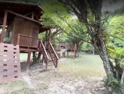 FAZENDA EM MATA DOS PIMENTAS - PARÁ DE MINAS