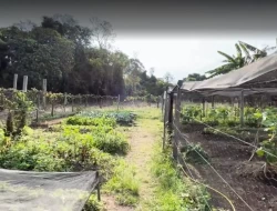 FAZENDA EM MATA DOS PIMENTAS - PARÁ DE MINAS