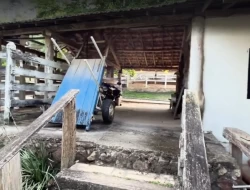 FAZENDA EM MATA DOS PIMENTAS - PARÁ DE MINAS