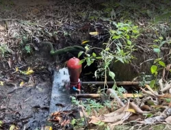FAZENDA EM MATA DOS PIMENTAS - PARÁ DE MINAS