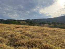 FAZENDA À VENDA -PEQUI- MG