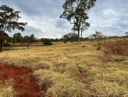 FAZENDA À VENDA -PEQUI- MG
