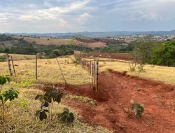FAZENDA À VENDA -PEQUI- MG