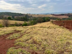 FAZENDA À VENDA -PEQUI- MG