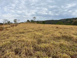 FAZENDA À VENDA -PEQUI- MG