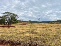 FAZENDA À VENDA -PEQUI- MG