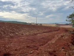 FAZENDA À VENDA -PEQUI- MG