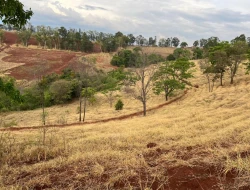 FAZENDA À VENDA -PEQUI- MG