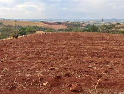 FAZENDA À VENDA -PEQUI- MG