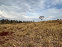 FAZENDA À VENDA -PEQUI- MG