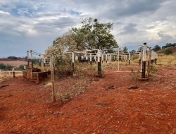 FAZENDA À VENDA -PEQUI- MG