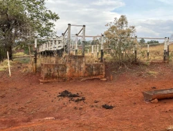 FAZENDA À VENDA -PEQUI- MG