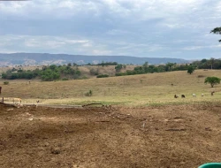 FAZENDA À VENDA EM PEQUI - MG.