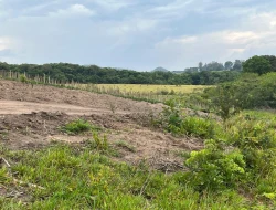 FAZENDA À VENDA EM PEQUI - MG.