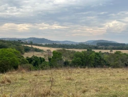 FAZENDA À VENDA EM PEQUI - MG.