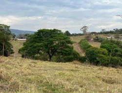 FAZENDA À VENDA EM PEQUI - MG.