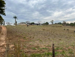 FAZENDA À VENDA EM PEQUI - MG.