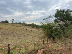 FAZENDA À VENDA EM PEQUI - MG.