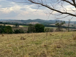 FAZENDA À VENDA EM PEQUI - MG.