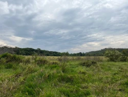 FAZENDA À VENDA EM PEQUI - MG.