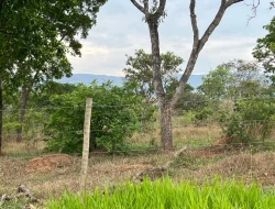 FAZENDA À VENDA EM PEQUI - MG.