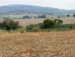 FAZENDA À VENDA EM PEQUI - MG.