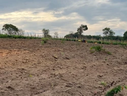 FAZENDA À VENDA EM PEQUI - MG.