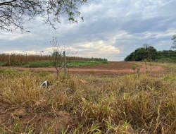 FAZENDA À VENDA EM PEQUI - MG.