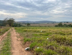 FAZENDA À VENDA EM PEQUI - MG.