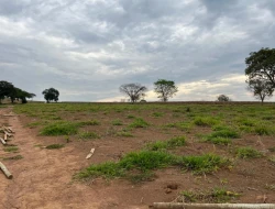 FAZENDA À VENDA EM PEQUI - MG.