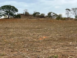 FAZENDA À VENDA EM PEQUI - MG.