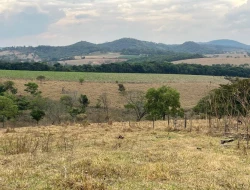 FAZENDA À VENDA EM PEQUI - MG.