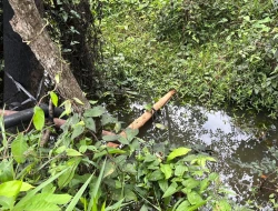 FAZENDA À VENDA EM PEQUI - MG.