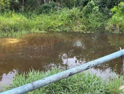 FAZENDA À VENDA EM PEQUI - MG.