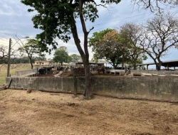 FAZENDA À VENDA EM PEQUI - MG.