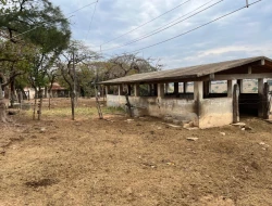 FAZENDA À VENDA EM PEQUI - MG.