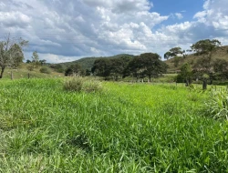 FAZENDA - POVOADO DE  CARNEIROS