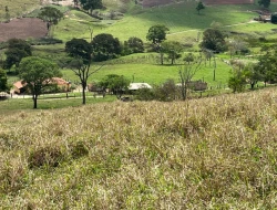 FAZENDA - POVOADO DE  CARNEIROS