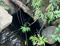 FAZENDA - POVOADO DE  CARNEIROS