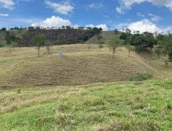 FAZENDA - POVOADO DE  CARNEIROS