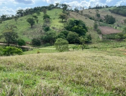 FAZENDA - POVOADO DE  CARNEIROS