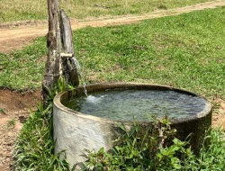 FAZENDA - POVOADO DE  CARNEIROS