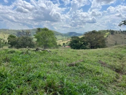FAZENDA - POVOADO DE  CARNEIROS