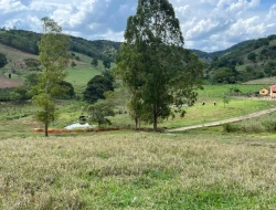 FAZENDA - POVOADO DE  CARNEIROS