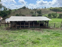 FAZENDA - POVOADO DE  CARNEIROS