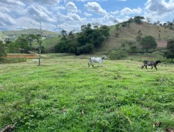 FAZENDA - POVOADO DE  CARNEIROS