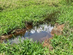 FAZENDA - POVOADO DE  CARNEIROS