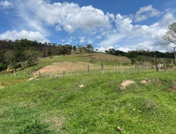 FAZENDA - POVOADO DE  CARNEIROS
