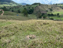 FAZENDA - POVOADO DE  CARNEIROS